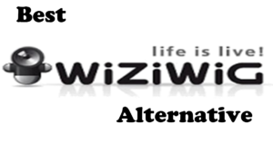 Wiziwig Alternative 